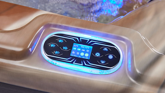 Control System