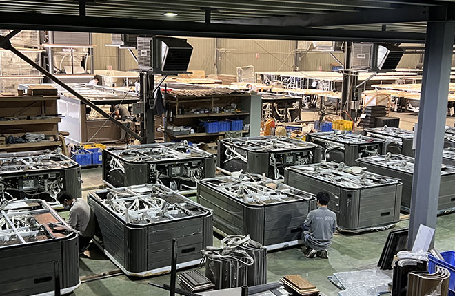 Market Dynamics and Consumer Preferences